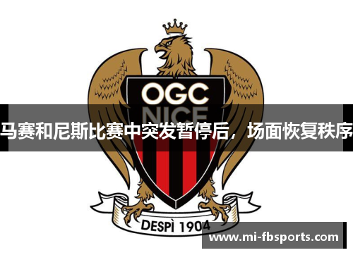 马赛和尼斯比赛中突发暂停后，场面恢复秩序