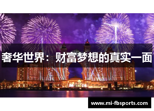 奢华世界：财富梦想的真实一面
